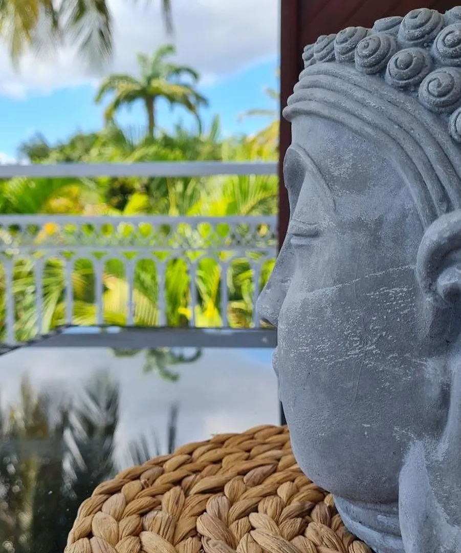 Grand Studio Zen Idealement Situe A Saint-Francois Avec Piscine Et Terrasse 0*, Сен-Франсуа